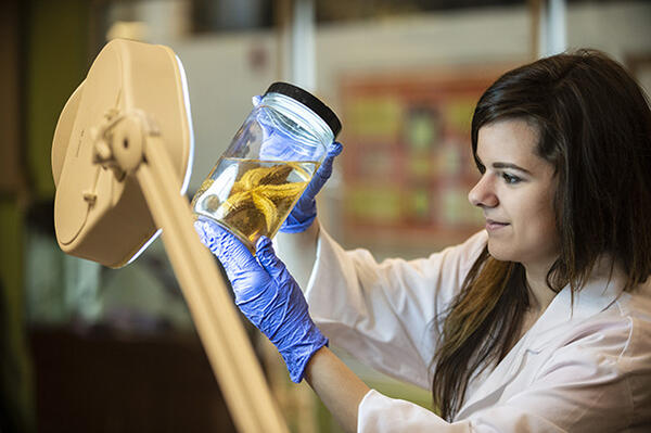 student in lab