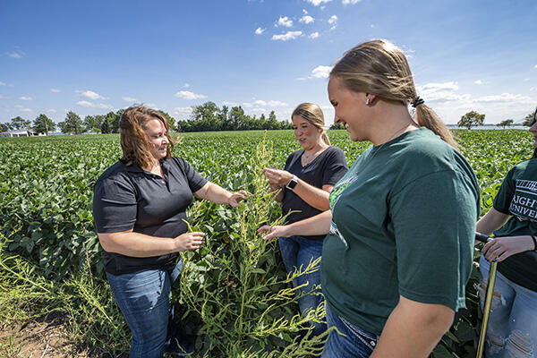 students in field